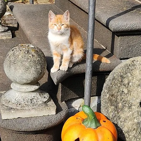 Gaestehaus Beurener Muehle