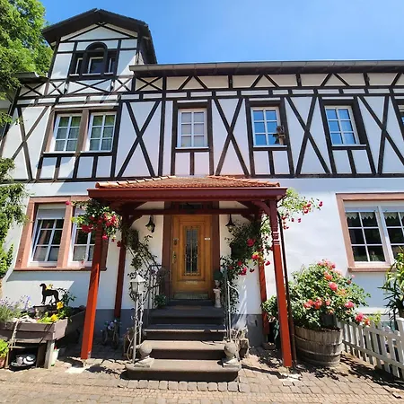 Gaestehaus Beurener Muehle Apartment Bad Bertrich